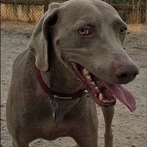 Meet your Posher, Mark